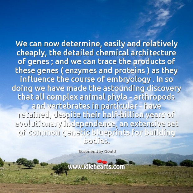We can now determine, easily and relatively cheaply, the detailed chemical architecture Stephen Jay Gould Picture Quote