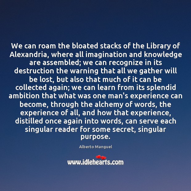 We can roam the bloated stacks of the Library of Alexandria, where Alberto Manguel Picture Quote