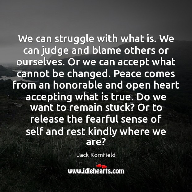 We can struggle with what is. We can judge and blame others Jack Kornfield Picture Quote
