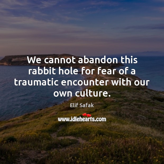 We cannot abandon this rabbit hole for fear of a traumatic encounter with our own culture. Elif Safak Picture Quote