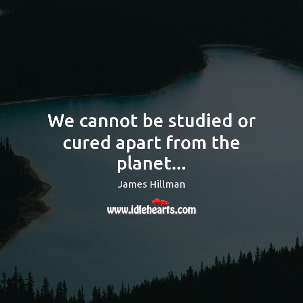 We cannot be studied or cured apart from the planet… James Hillman Picture Quote