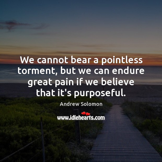 We cannot bear a pointless torment, but we can endure great pain Andrew Solomon Picture Quote