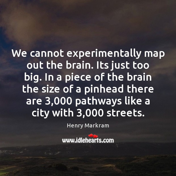 We cannot experimentally map out the brain. Its just too big. In Henry Markram Picture Quote