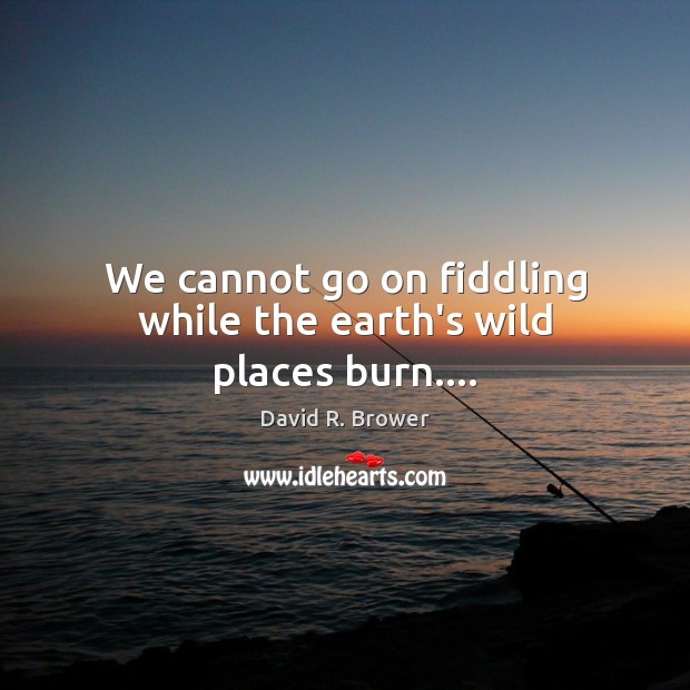 We cannot go on fiddling while the earth’s wild places burn…. 