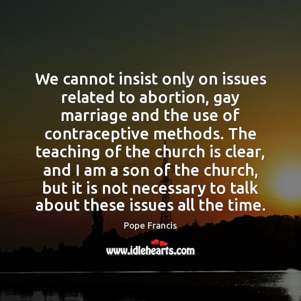 We cannot insist only on issues related to abortion, gay marriage and Pope Francis Picture Quote