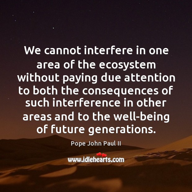 We cannot interfere in one area of the ecosystem without paying due Pope John Paul II Picture Quote