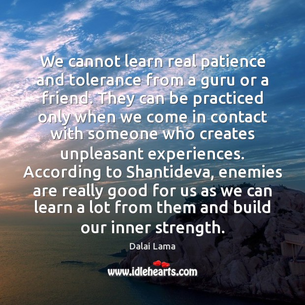 We cannot learn real patience and tolerance from a guru or a Dalai Lama Picture Quote
