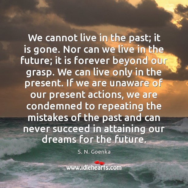 We cannot live in the past; it is gone. Nor can we S. N. Goenka Picture Quote