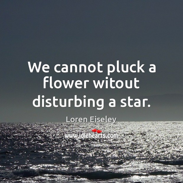 We cannot pluck a flower witout disturbing a star. Flowers Quotes Image