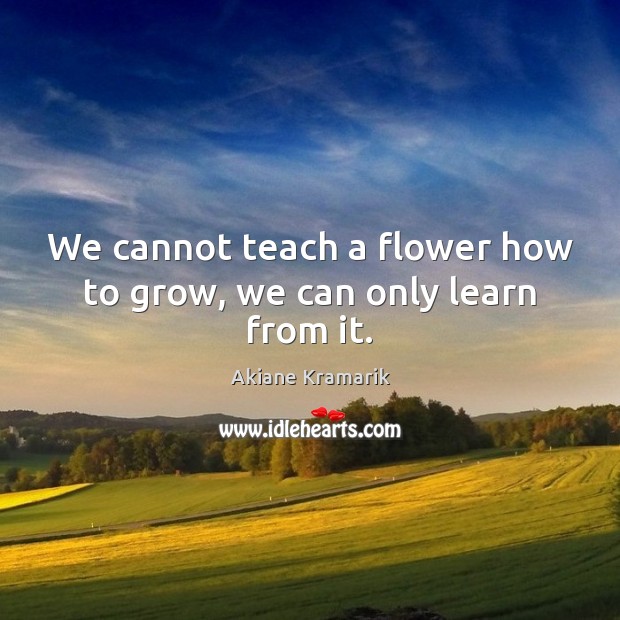 We cannot teach a flower how to grow, we can only learn from it. Akiane Kramarik Picture Quote