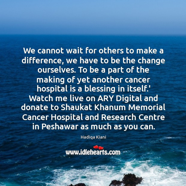 We cannot wait for others to make a difference, we have to Hadiqa Kiani Picture Quote