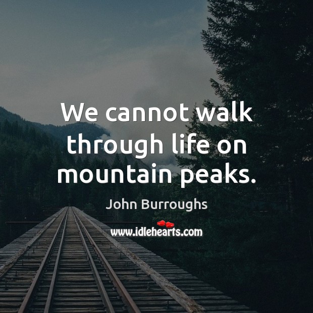 We cannot walk through life on mountain peaks. John Burroughs Picture Quote