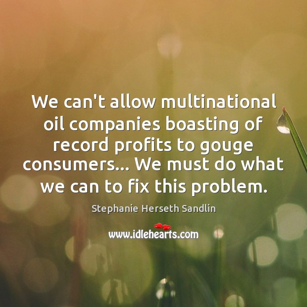 We can’t allow multinational oil companies boasting of record profits to gouge Stephanie Herseth Sandlin Picture Quote