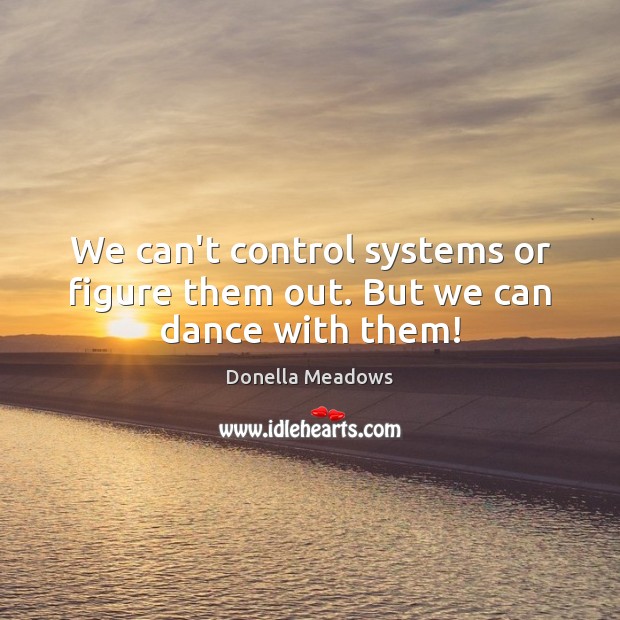 We can’t control systems or figure them out. But we can dance with them! Image