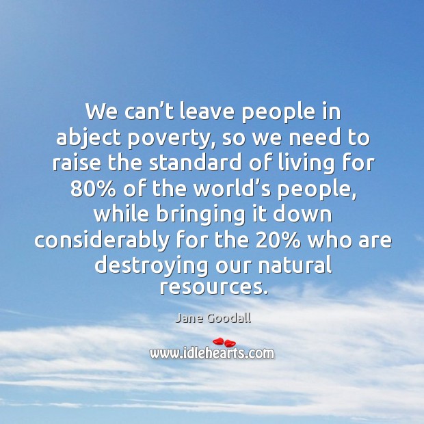 We can’t leave people in abject poverty, so we need to raise the standard of living for 80% Jane Goodall Picture Quote