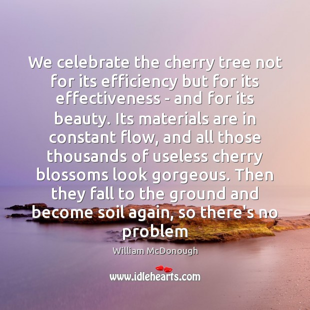 We celebrate the cherry tree not for its efficiency but for its William McDonough Picture Quote