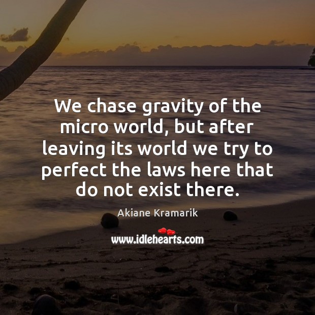We chase gravity of the micro world, but after leaving its world Image