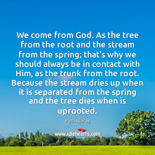 We come from God. As the tree from the root and the Pythagoras Picture Quote