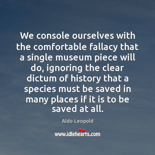 We console ourselves with the comfortable fallacy that a single museum piece Aldo Leopold Picture Quote