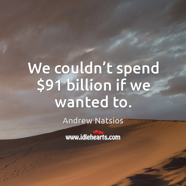 We couldn’t spend $91 billion if we wanted to. Andrew Natsios Picture Quote