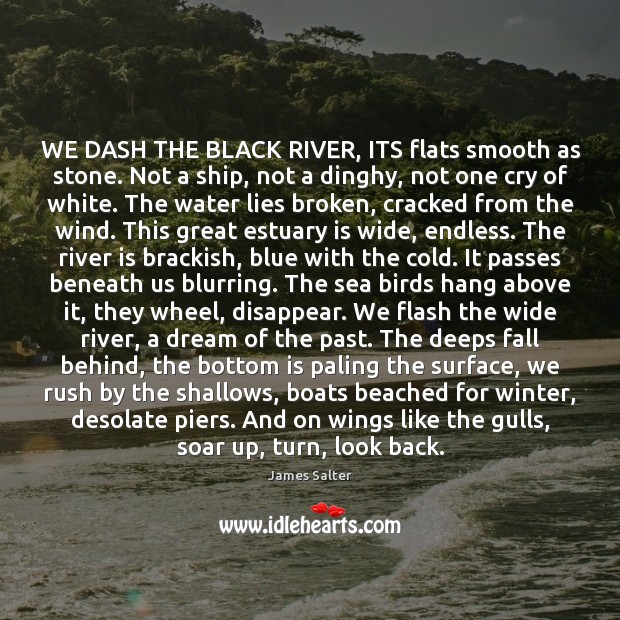 WE DASH THE BLACK RIVER, ITS flats smooth as stone. Not a James Salter Picture Quote