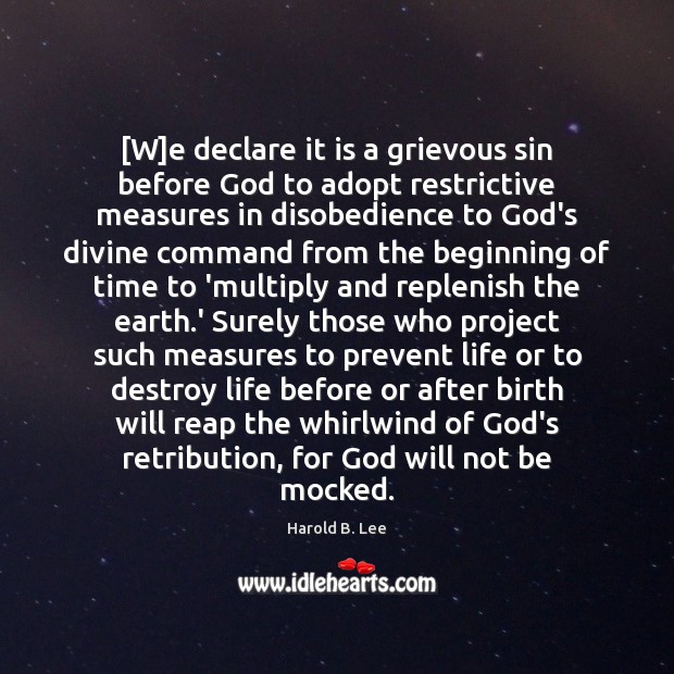 [W]e declare it is a grievous sin before God to adopt Image