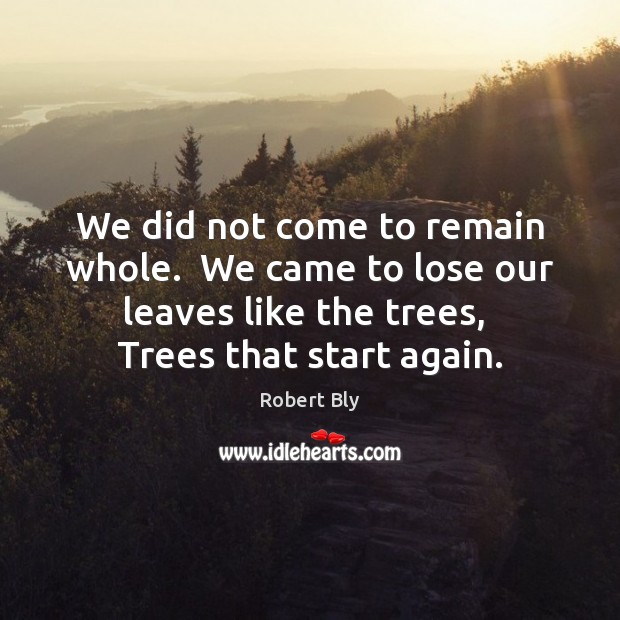 We did not come to remain whole.  We came to lose our Robert Bly Picture Quote