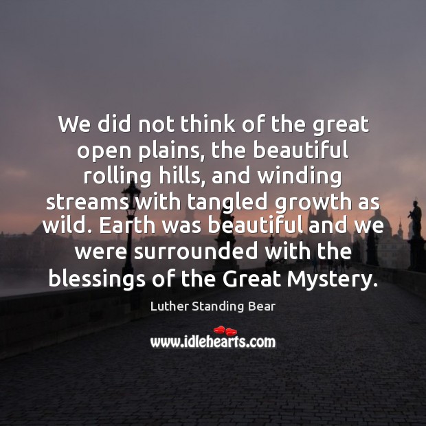 We did not think of the great open plains, the beautiful rolling Luther Standing Bear Picture Quote