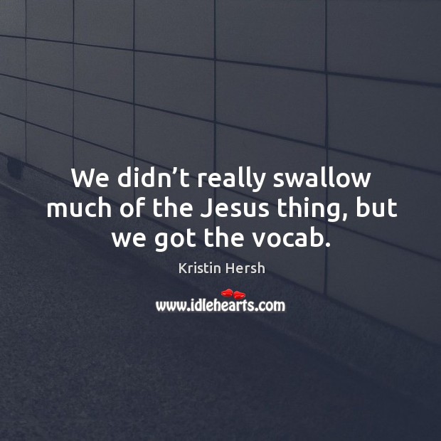We didn’t really swallow much of the jesus thing, but we got the vocab. Kristin Hersh Picture Quote