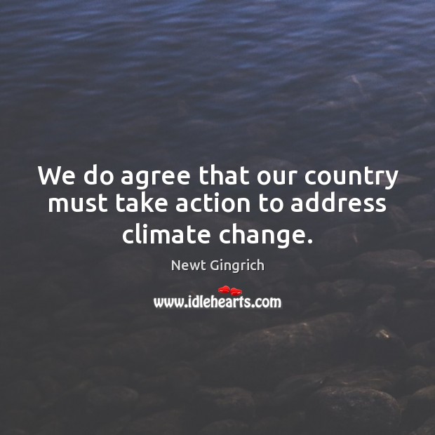 We do agree that our country must take action to address climate change. Newt Gingrich Picture Quote