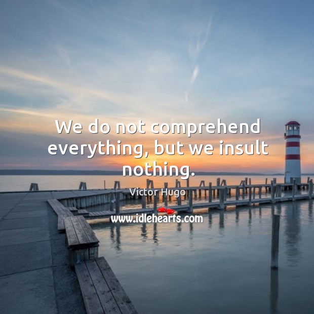 We do not comprehend everything, but we insult nothing. Victor Hugo Picture Quote