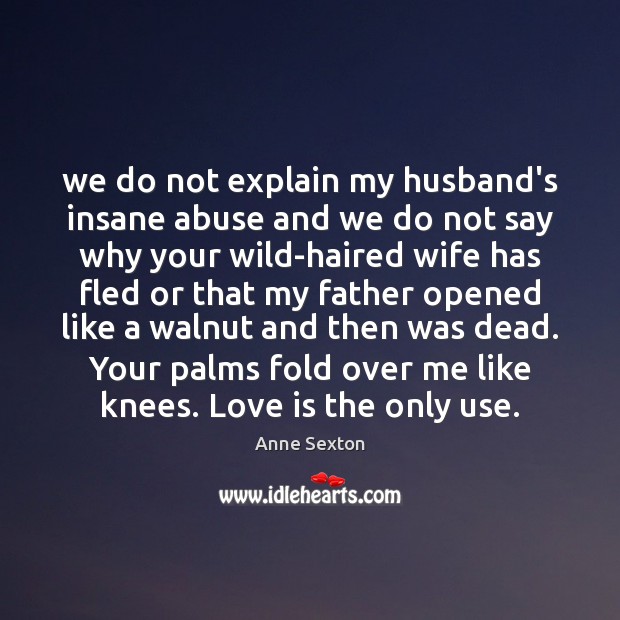 We do not explain my husband’s insane abuse and we do not Anne Sexton Picture Quote