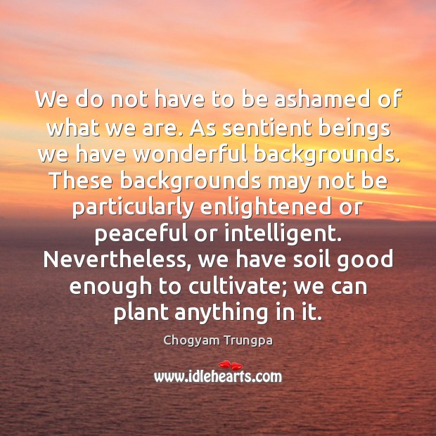 We do not have to be ashamed of what we are. As 