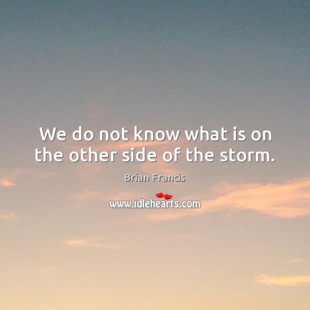 We do not know what is on the other side of the storm. Brian Francis Picture Quote