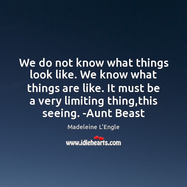 We do not know what things look like. We know what things Madeleine L’Engle Picture Quote