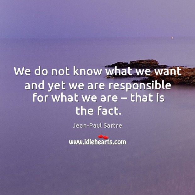 We do not know what we want and yet we are responsible for what we are – that is the fact. Image