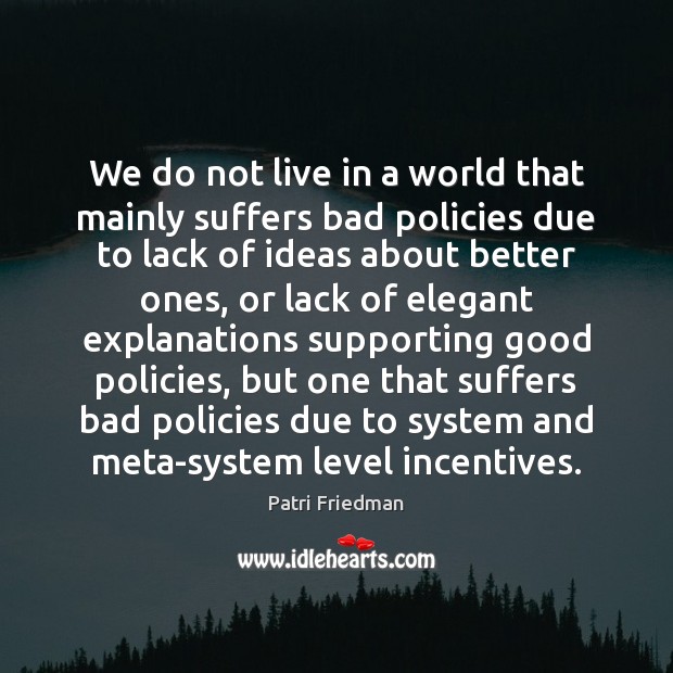 We do not live in a world that mainly suffers bad policies Patri Friedman Picture Quote