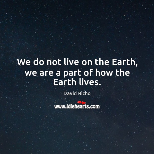 We do not live on the Earth, we are a part of how the Earth lives. David Richo Picture Quote