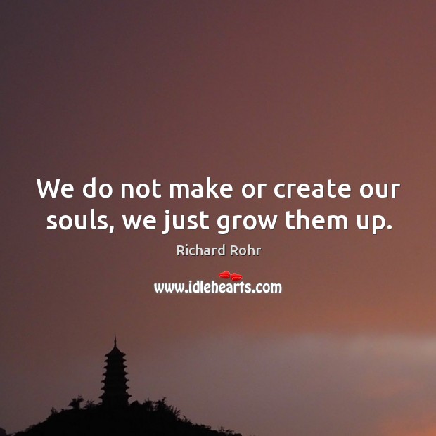 We do not make or create our souls, we just grow them up. Richard Rohr Picture Quote