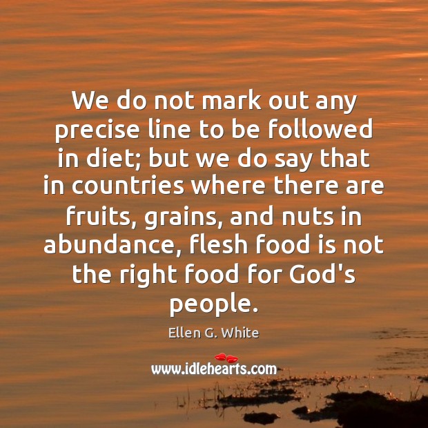 We do not mark out any precise line to be followed in Ellen G. White Picture Quote