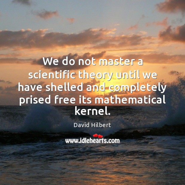We do not master a scientific theory until we have shelled and David Hilbert Picture Quote