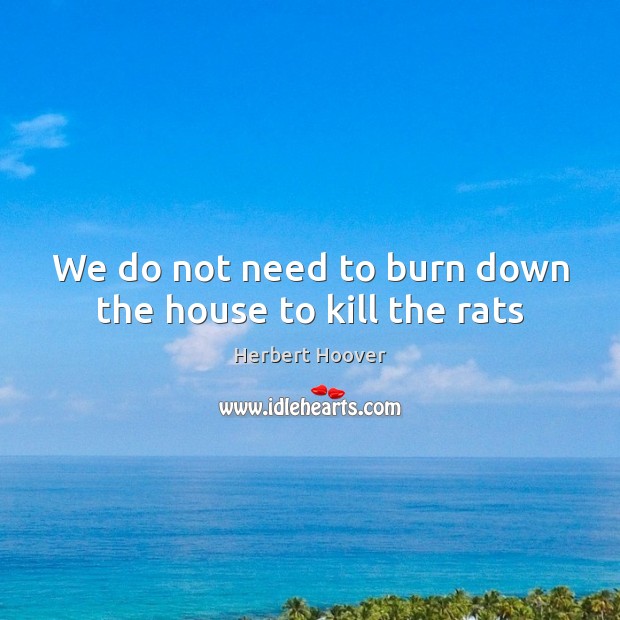 We do not need to burn down the house to kill the rats Herbert Hoover Picture Quote