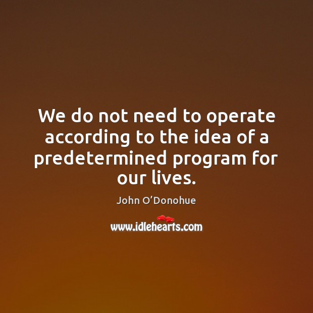We do not need to operate according to the idea of a predetermined program for our lives. John O’Donohue Picture Quote
