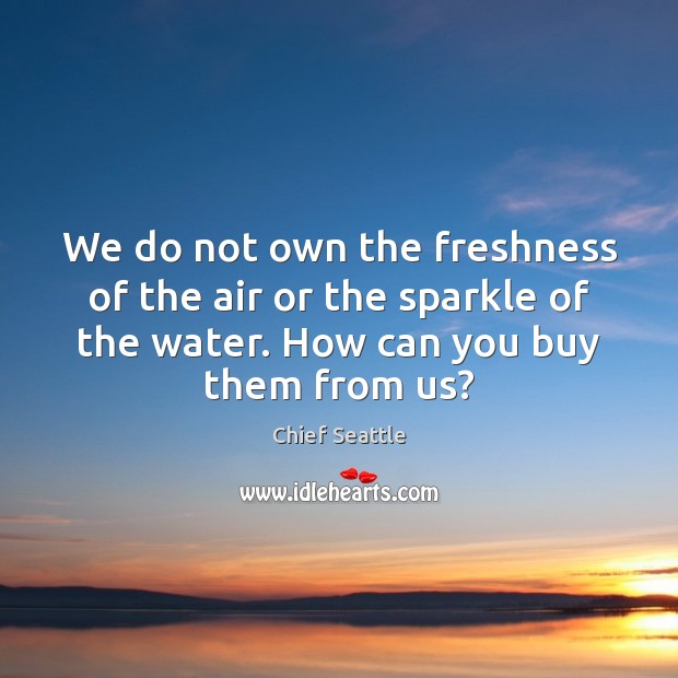 We do not own the freshness of the air or the sparkle Chief Seattle Picture Quote