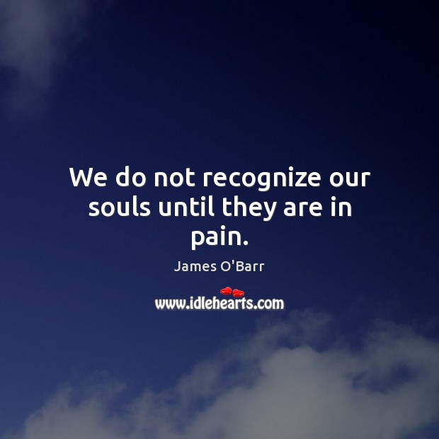 We do not recognize our souls until they are in pain. James O’Barr Picture Quote