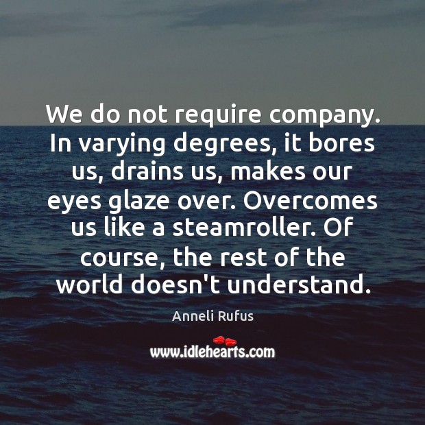 We do not require company. In varying degrees, it bores us, drains Anneli Rufus Picture Quote