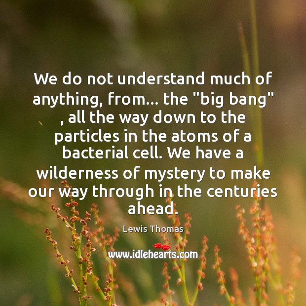 We do not understand much of anything, from… the “big bang” , all Image