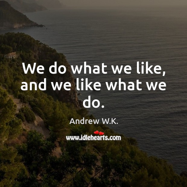 We do what we like, and we like what we do. Andrew W.K. Picture Quote