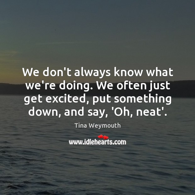 We don’t always know what we’re doing. We often just get excited, Tina Weymouth Picture Quote