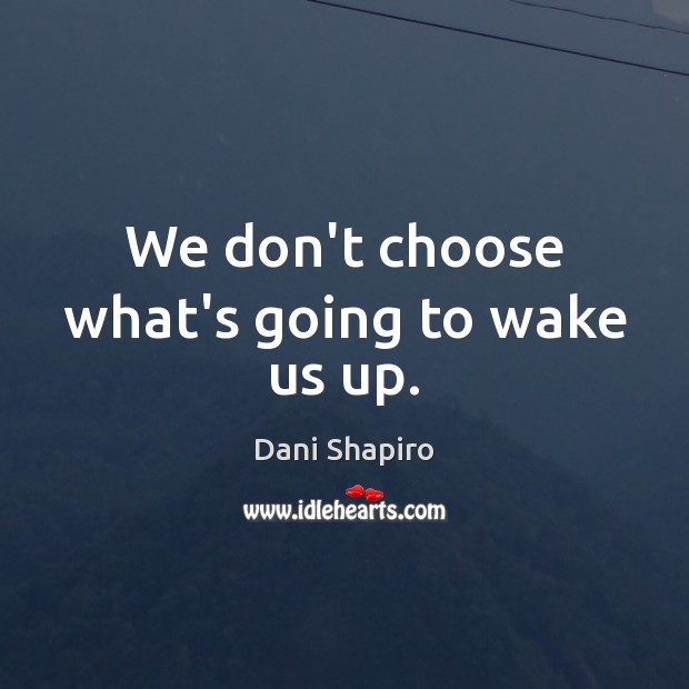 We don’t choose what’s going to wake us up. Dani Shapiro Picture Quote